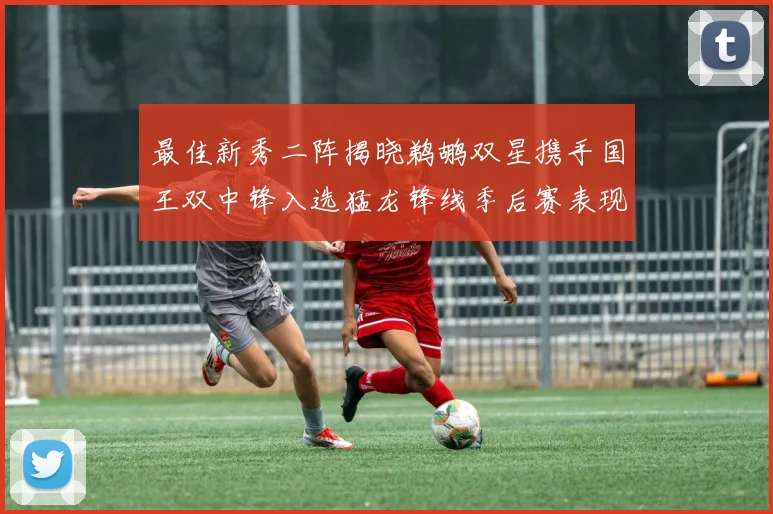 最佳新秀二阵揭晓鹈鹕双星携手国王双中锋入选猛龙锋线季后赛表现抢眼